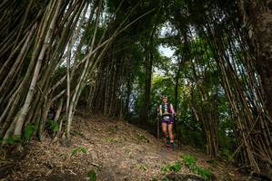 BIB: 
                            <button type="button" onclick="openModal(19396118)" class="btn btn-primary btn-sm float-right btn-popup" data-toggle="modal" data-target=".modal-high-quality">
                        <i class="fas fa-shopping-cart"></i> Add to Cart
                    </button>
                                            <button type="button" onclick="isThisMe(19396118, true)" class="btn btn-success btn-sm float-right btn-popup btn-isme hidden" data-toggle="tooltip" data-placement="bottom" title="นี่คือรูปของคุณใช่ไหม คลิกที่นี่เพื่อเอาเข้าอัลบั้ม">
                        <i class="fas fa-plus"></i> Add to album
                    </button>
                    <button type="button" onclick="isThisMe(19396118, false)" class="btn btn-warning btn-sm float-right btn-popup btn-isnotme hidden">
                        <i class="fas fa-ban"></i> Remove from album
                    </button>